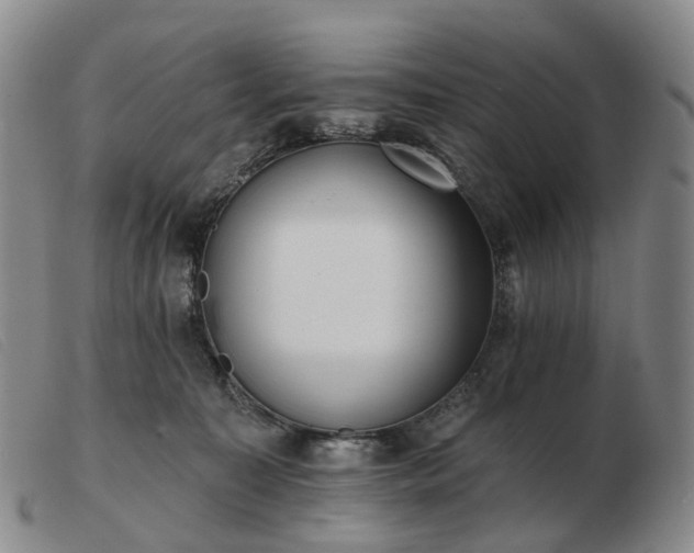 X0000103470323200809191841