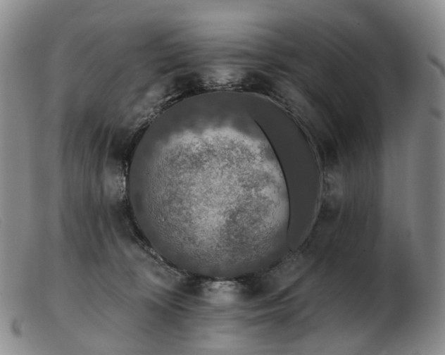 X0000103470324200809191841