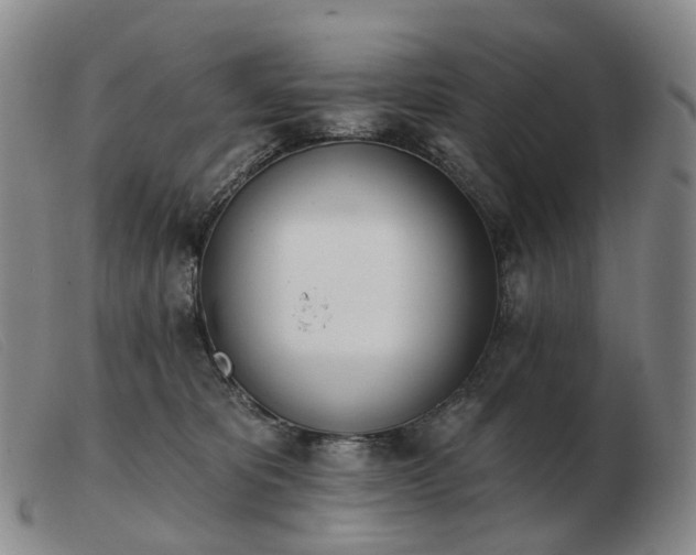 X0000103470325200809191841