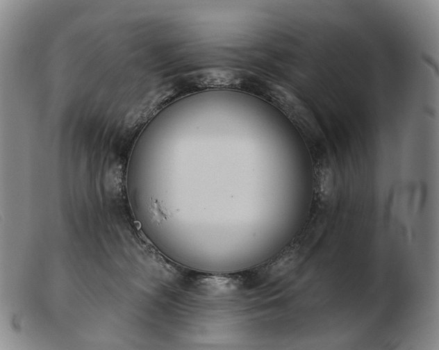 X0000103470326200809191841