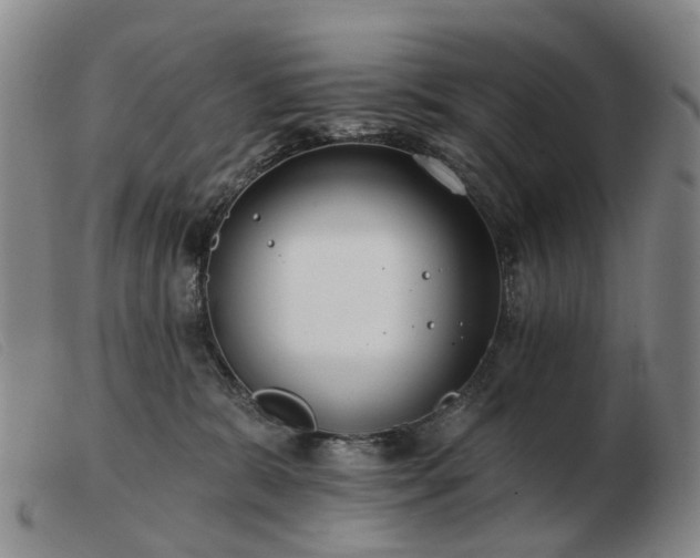 X0000103470327200809191841