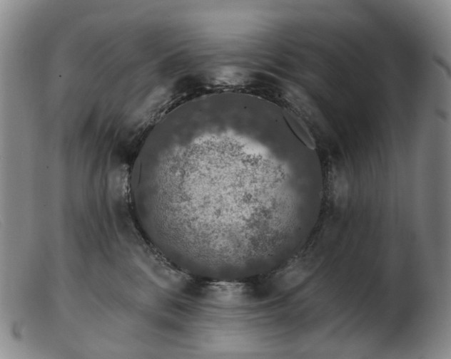 X0000103470328200809191841