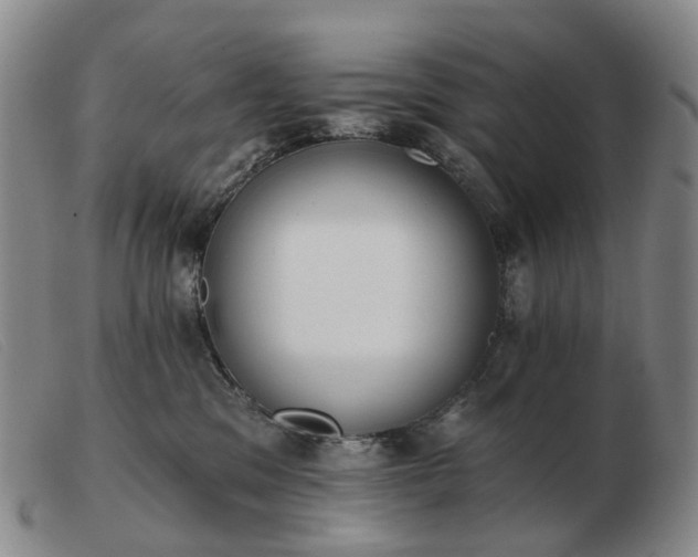 X0000103470329200809191841