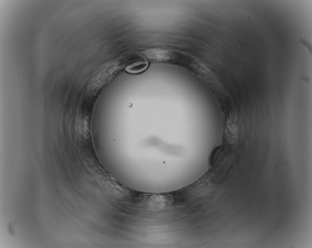 X0000103470330200809191841