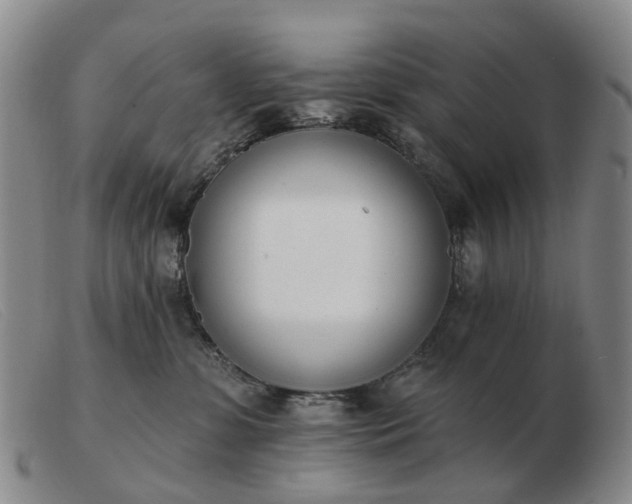 X0000103470331200809191841