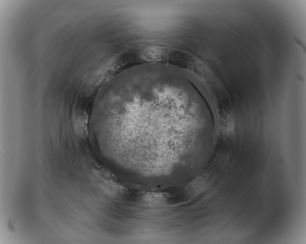 X0000103470332200809191841