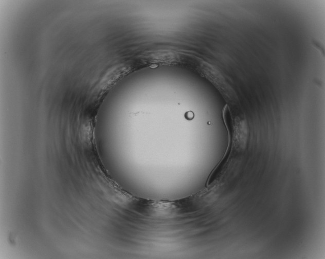 X0000103470333200809191841