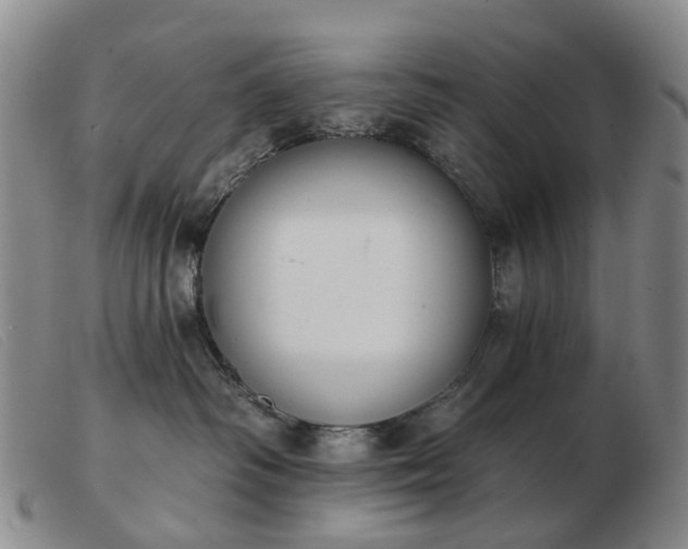 X0000103470334200809191841