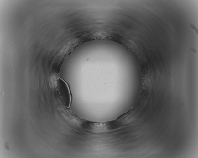 X0000103470335200809191841