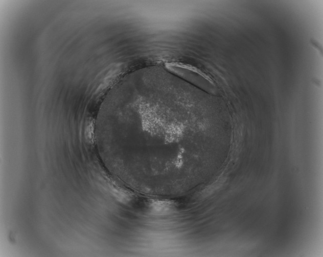 X0000103470336200809191841