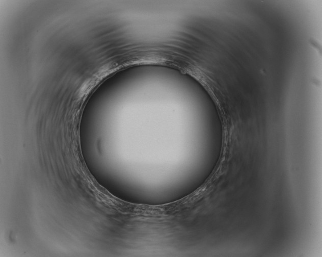 X0000103470337200809191840