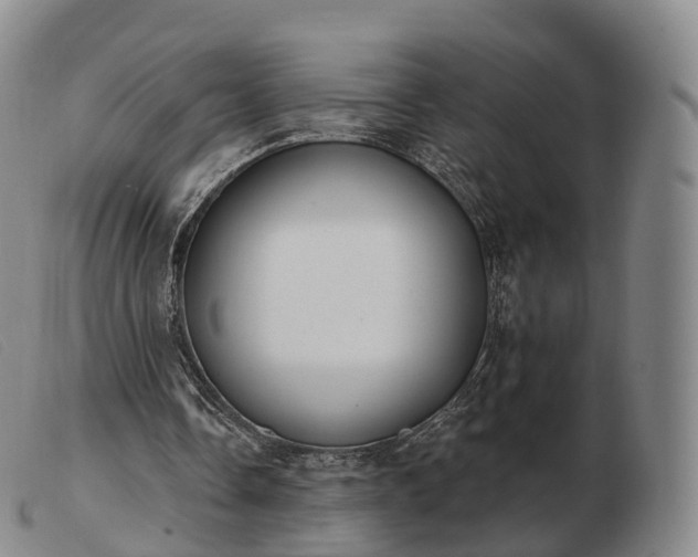 X0000103470338200809191840