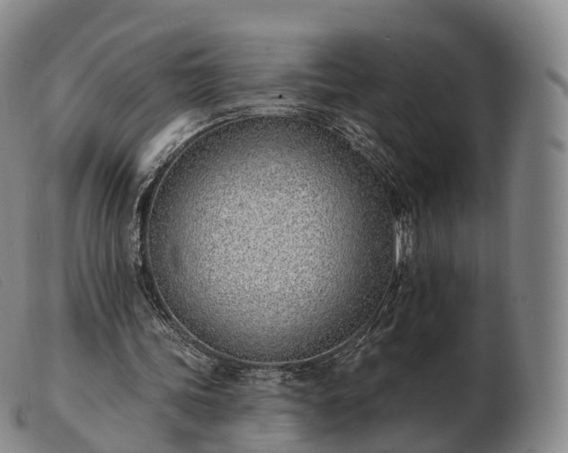 X0000103470339200809191840