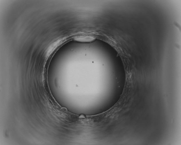 X0000103470340200809191840