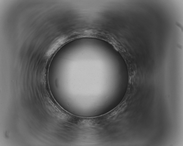 X0000103470341200809191840