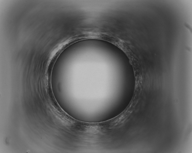 X0000103470342200809191840