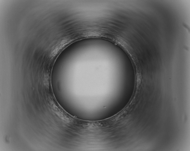 X0000103470345200809191840