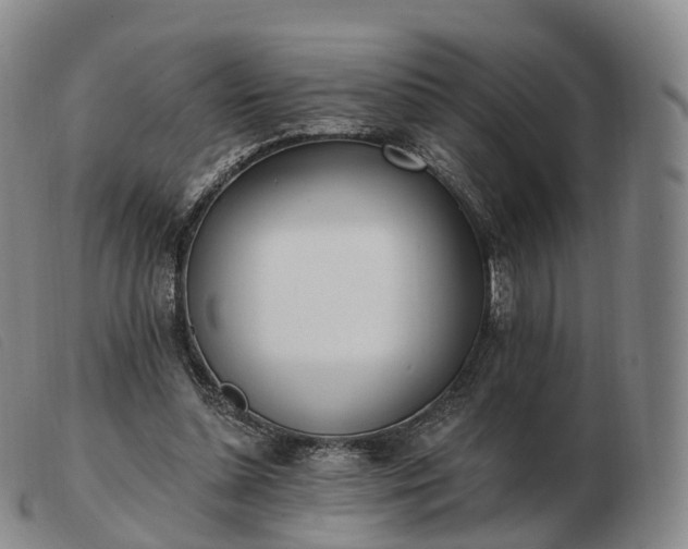 X0000103470348200809191840