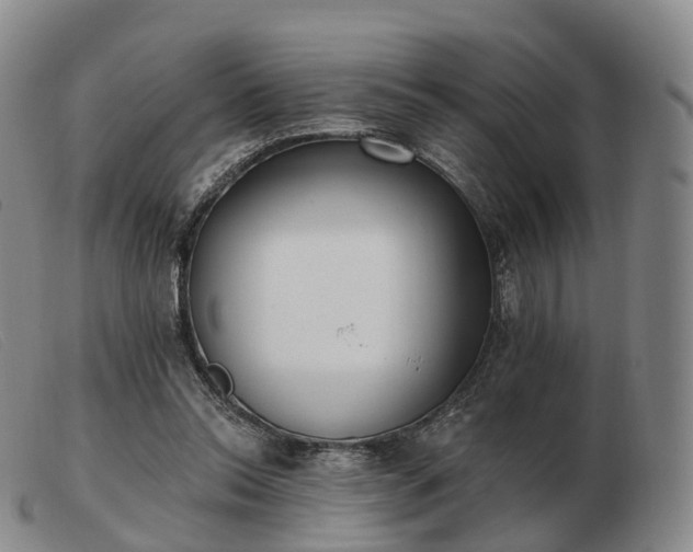 X0000103470350200809191840