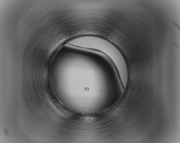 X0000103470352200809191840