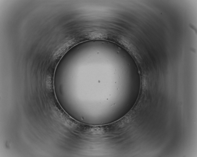 X0000103470353200809191840