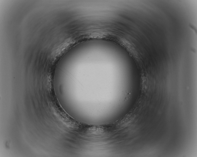 X0000103470354200809191840