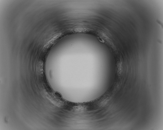 X0000103470356200809191840