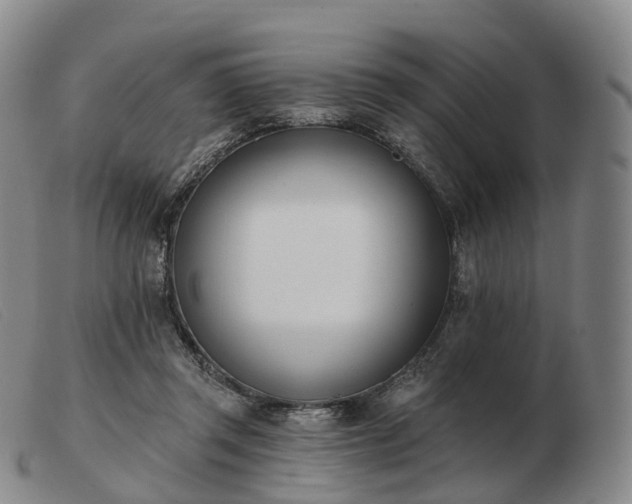 X0000103470357200809191840