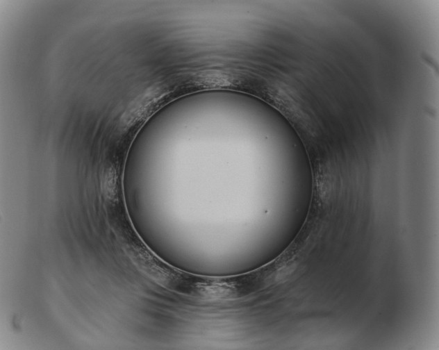 X0000103470359200809191840