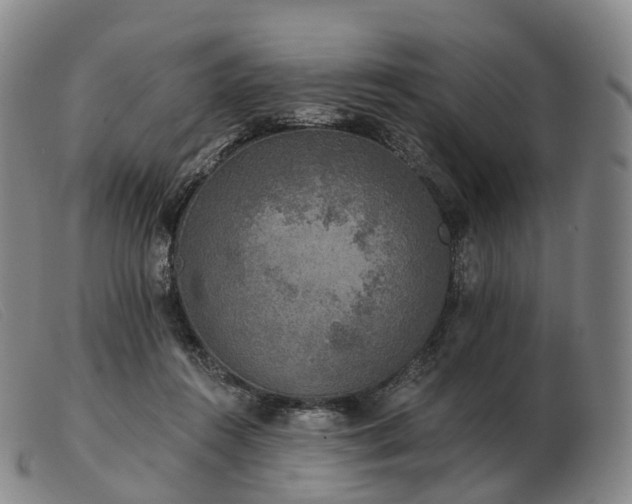 X0000103470360200809191840