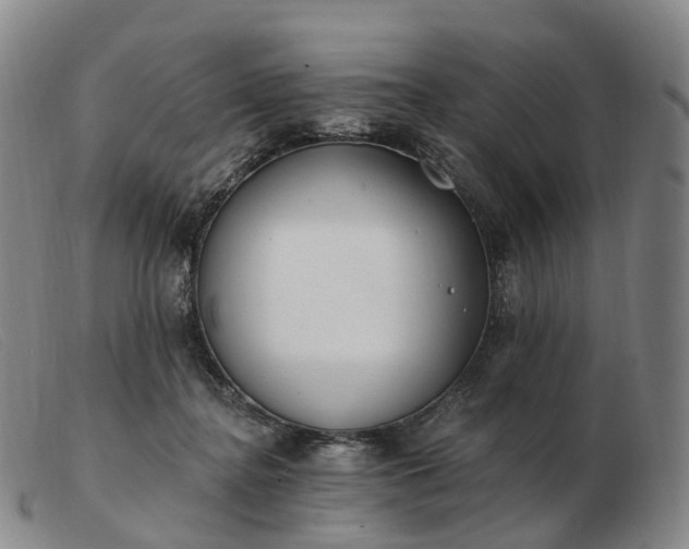 X0000103470364200809191841