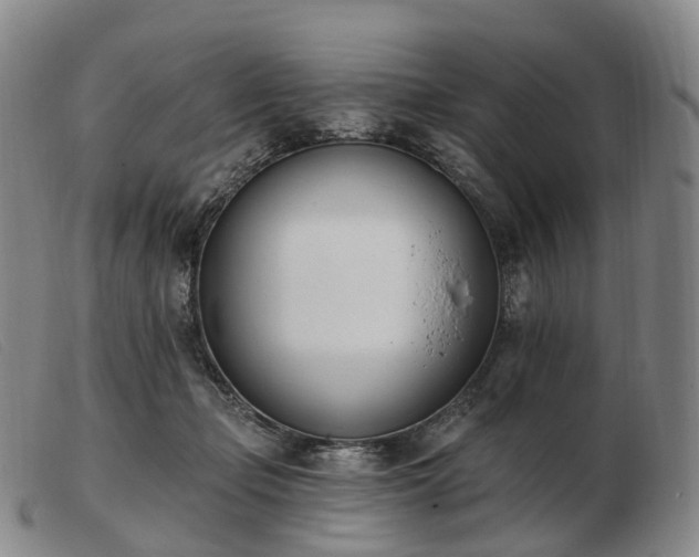 X0000103470365200809191841