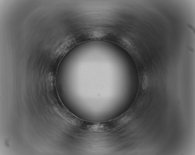 X0000103470366200809191841