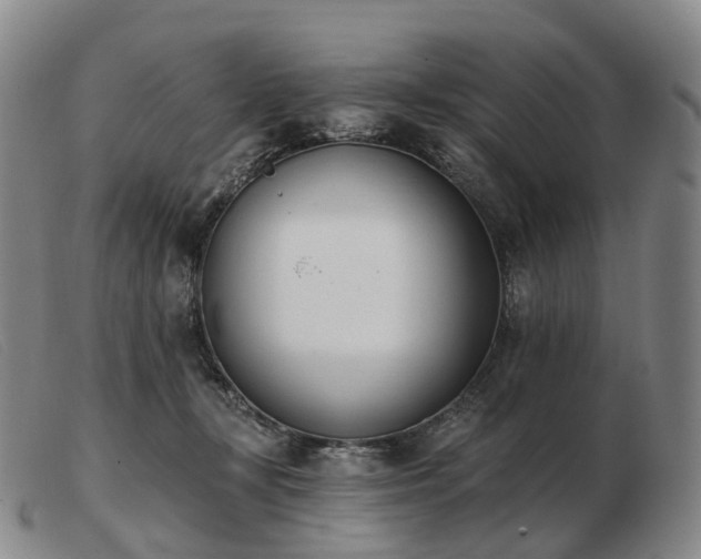 X0000103470367200809191841