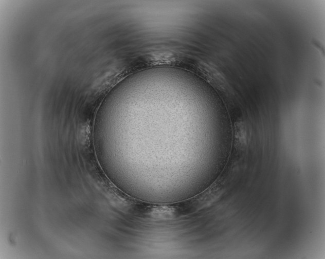 X0000103470369200809191841