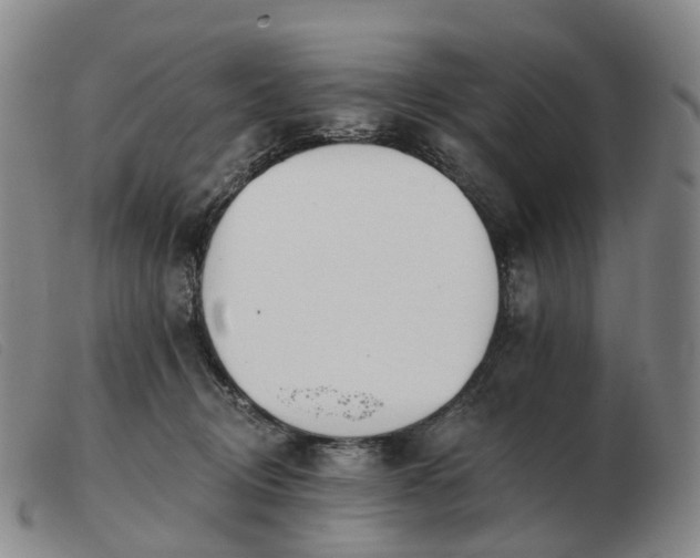 X0000103470370200809191841