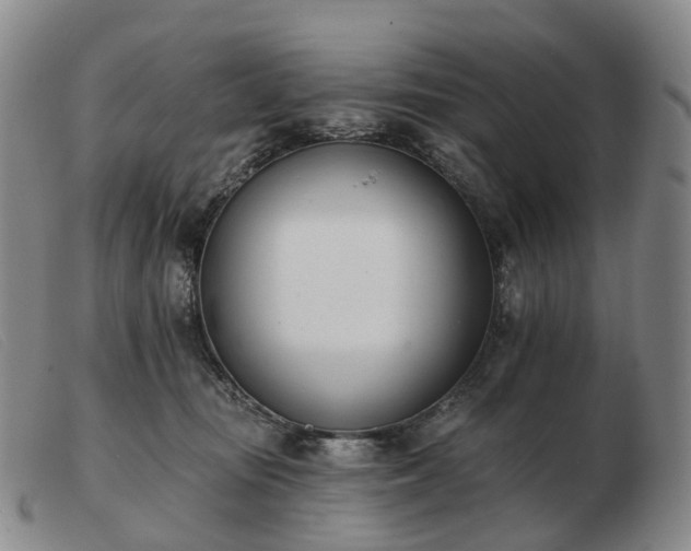 X0000103470371200809191841