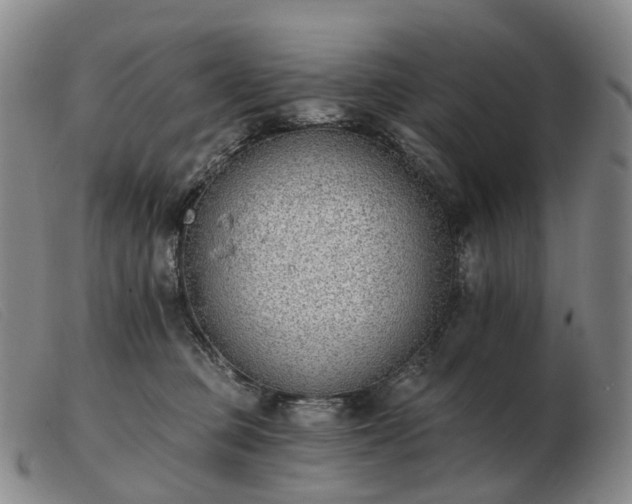 X0000103470373200809191841