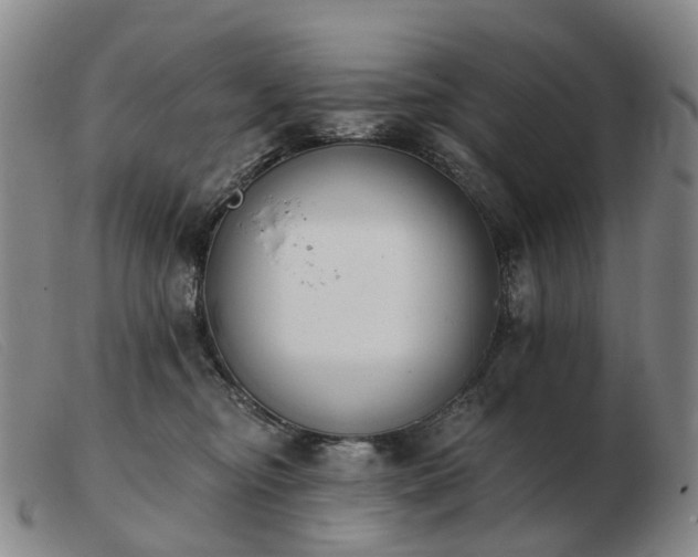 X0000103470374200809191841