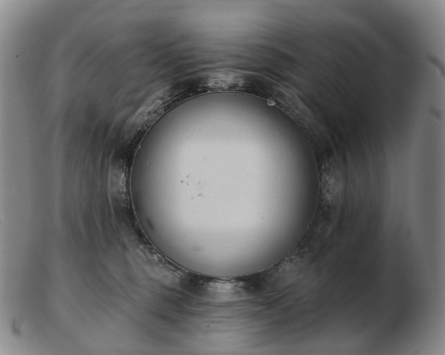 X0000103470375200809191841