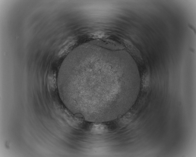 X0000103470376200809191841