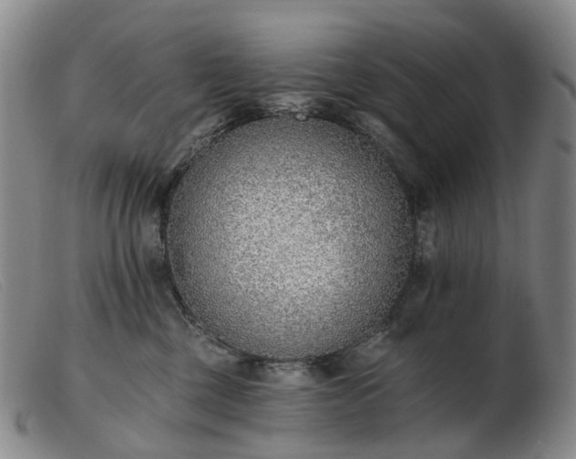 X0000103470377200809191841