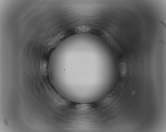 X0000103470378200809191841