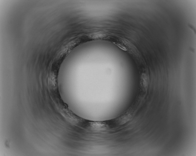 X0000103470380200809191841