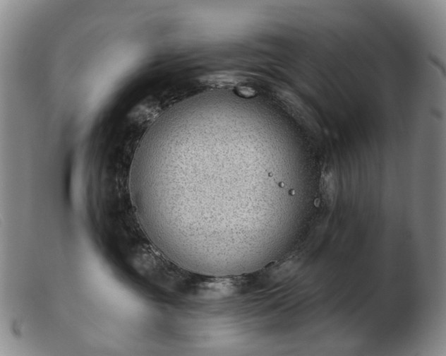 X0000103470381200809191841