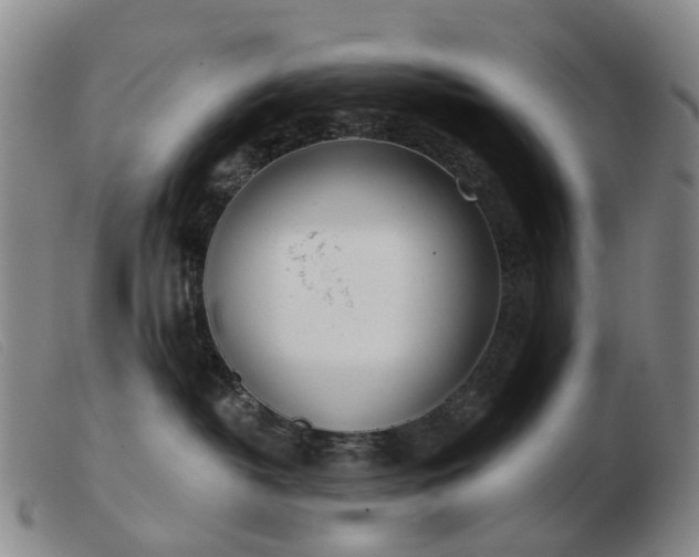 X0000103470382200809191841