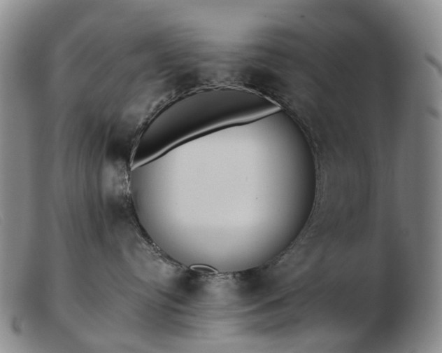 X0000103470384200809191841