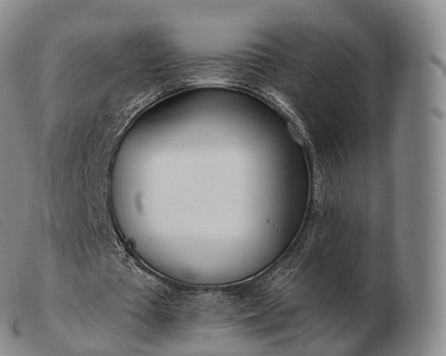 X0000103470385200809191840