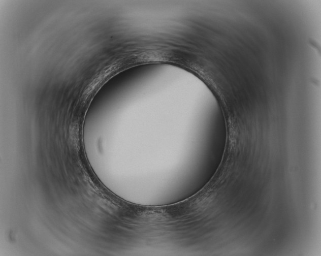 X0000103470386200809191840