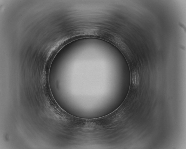 X0000103470388200809191840